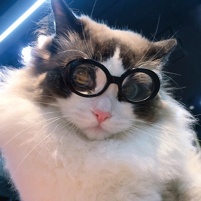Cool Fashion Pet Sunglasses