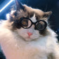 Cool Fashion Pet Sunglasses